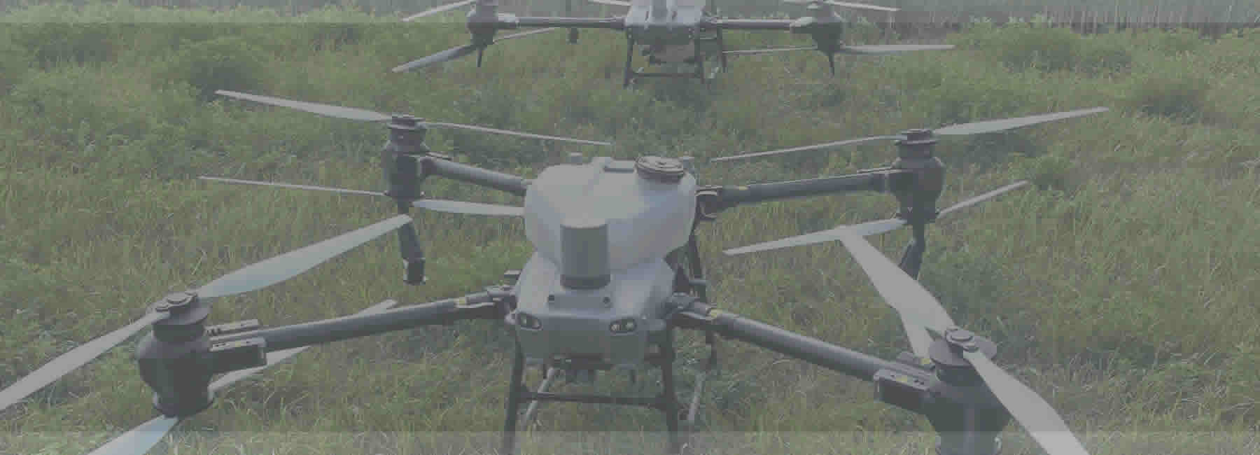 Agricultural Services to include Drone Spraying and seed sales.