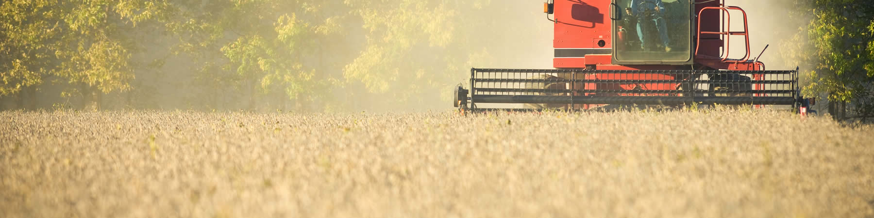  Seed sales for Minnesota and the surrounding states by Dynamic Cropping Systems.