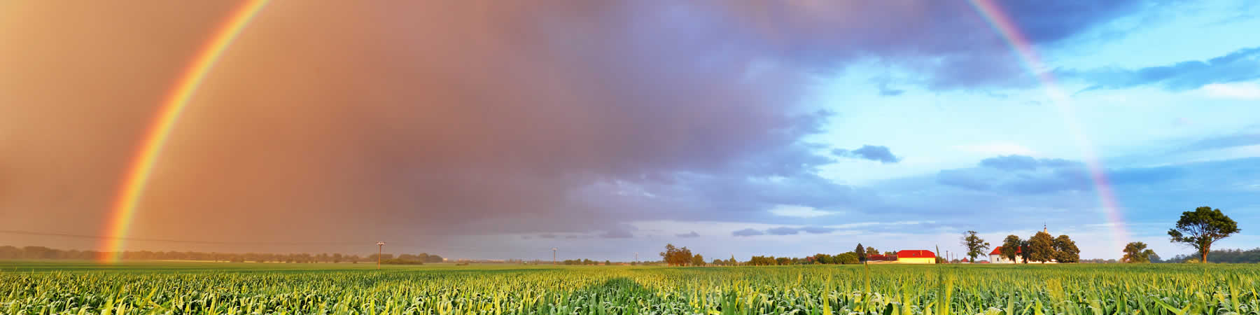 Get fertilizer in Minnesota from Dynamic Cropping Systems.